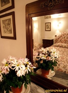 woodcutter house 5